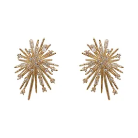 Fireworks Zircon Stud Earrings